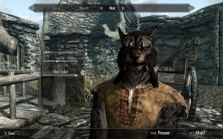 Illustration for article titled How We'll Create The Prettiest Elder Scrolls Characters Ever